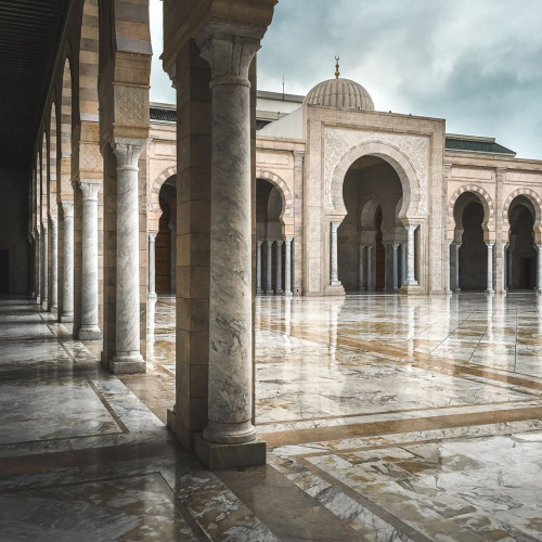 ملف:جامع قرطاج.jpg